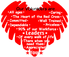 Our Volunteers are...